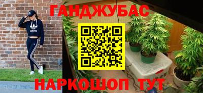 apvp Славгород