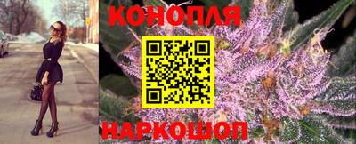 тгк Славянск-на-Кубани