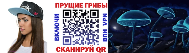 Галлюциногенные грибы Psilocybe  Стрежевой 