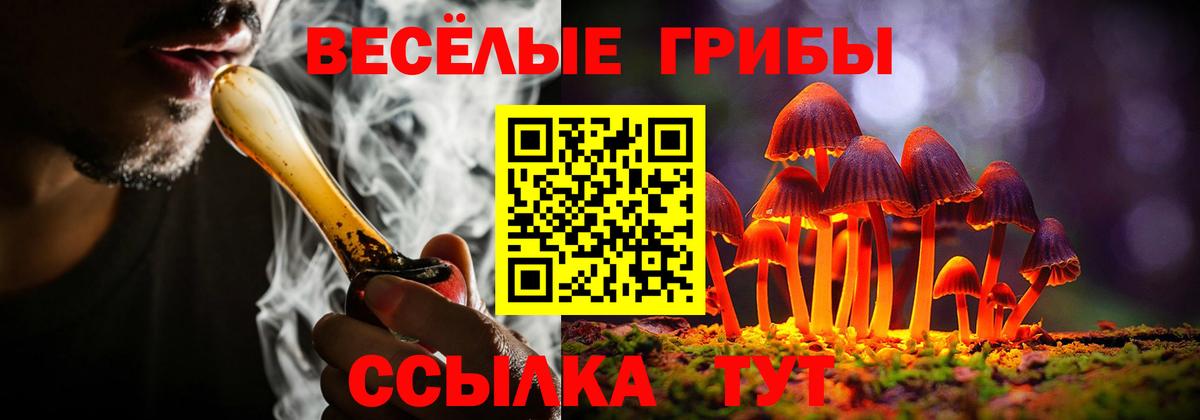 Псилоцибиновые грибы Psilocybine cubensis  даркнет сайт  Стрежевой  Вход с VPN 